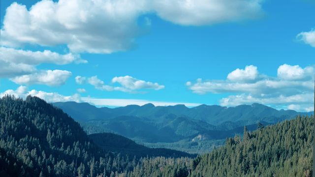 Forested ridges fading blue under cumulus