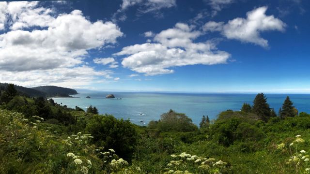 A green headland and the ocean under big clouds