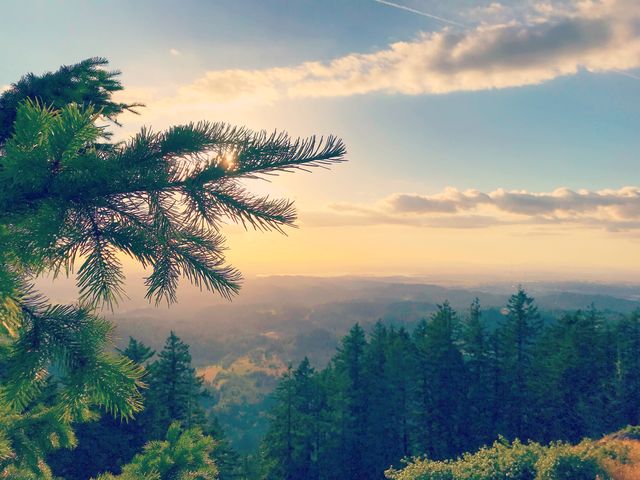 Fir boughs in the foreground, sunset haze over a wooded valley