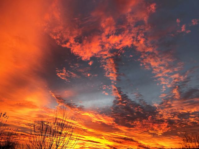 Red and orange cloud bank at sunset over a dark treeline