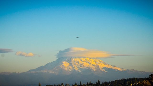 A snow peak with a lenticular cloud at sunset, a bird in the sky